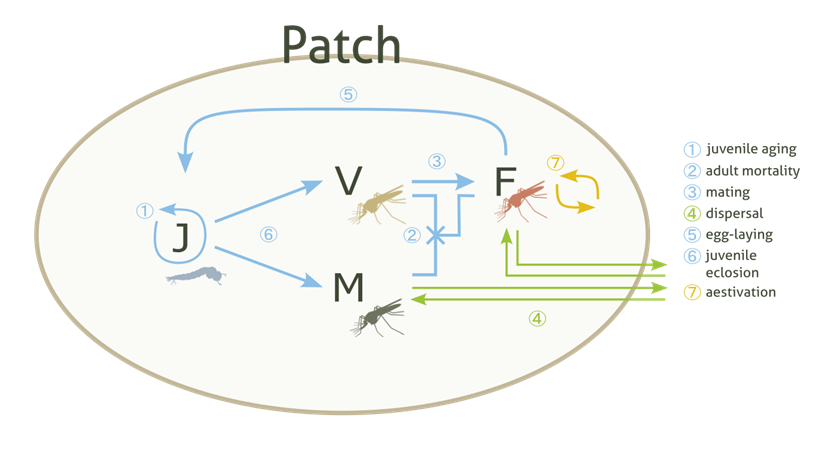 ../_images/patch_diagram.png
